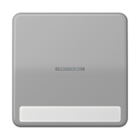 JUNG CD 500/CD plus Серая Клавиша 1-ая с/п с полем для надписи