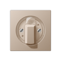 JUNG А 500 Шампань накладка поворотного механизма (лакированный дюропласт)