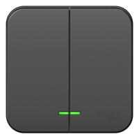 SE Blanca наруж Антрацит Выключатель 2-клавишный с подсветкой, 10А, 250B