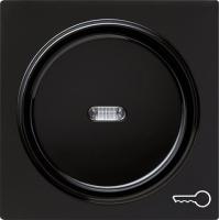 Gira Клавиша с пиктограммой "ключ"