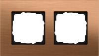 Gira Рамка двойная