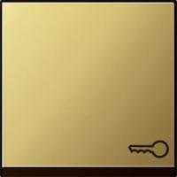 Gira Клавиша с пиктограммой "ключ"