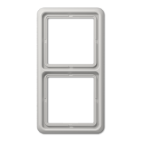 JUNG CD Светло-серая Рамка 2-ая ударопрочная