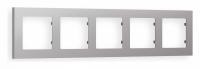Рамка ALFA Techno (Сталь матовый) 5-ая AF220505