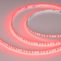 Arlight Лента RT-A120-8mm 24V RGB (12 W/m, IP20, 2835, 5m) (5 лет)