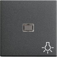 Gira Клав с больш окном пикт-мой Свет