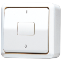 JUNG Выключатель для накладного монтажа, двухполюсный белый
