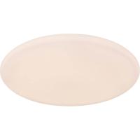 Потолочный светодиодный светильник Globo Rena 48383-50RGBSH