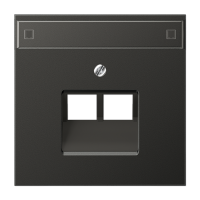 JUNG LS 990 Антрацит Накладка 2-ой наклонной ТЛФ/комп розетки с полем для надписи