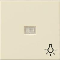 Gira Клав с больш окном пикт-мой Свет