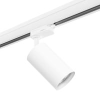 Трековый светильник Lightstar Rullo (214436+594056) R3T436