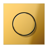 JUNG Накладка роторного механизма имитация золота