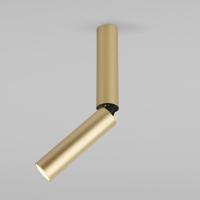 Pika 6W (25029/LED)/Светильник накладной золото 25029/LED Elektrostandard Pika 1 a061110