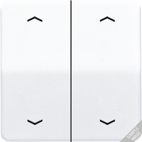 JUNG Клавиши для сдвоенной кнопки BCU светло-серые