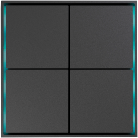 Donel Сенсорный кнопочный модуль KNX, 4/8 группы, метеорит, DPF5369MB