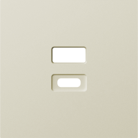 Donel Накладка для розеток USB, шампань, серия A07, DE28651