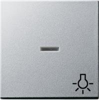 Gira Клавиша с пиктограммой "Свет" и контрольным окном