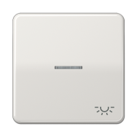 JUNG CD 500/CD plus Светло-серая Клавиша 1-ая с/п с символом ОСВЕЩЕНИЕ