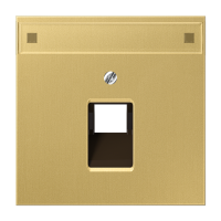 JUNG крышка для модульных разъемов, латунь Classic