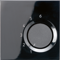 JUNG Комнатный термостат, чёрный