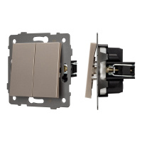 Arlight Механизм выключателя двухклавишный непроходной SWT-MK02-PL-GD-V (250V, 10A) (-)