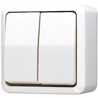 JUNG Белый Выключатель для накладного монтажа сдвоенный