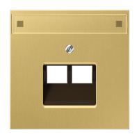 JUNG крышка для модульных разъемов, латунь Classic