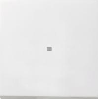 Gira Выключатель с клавишей 2-полюсный с окошком