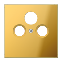 JUNG LS 990 Блеск золота Накладка TV-FM-SAT розетки