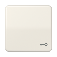 JUNG CD 500/CD plus Бежевая Клавиша 1-ая с символом КЛЮЧ