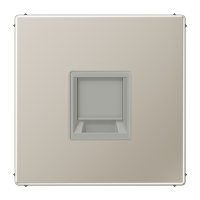 JUNG Плата (фиксация защёлкиванием) для одного модуля металл нержавеющая сталь