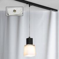 Трековый светильник однофазный Lussole Track Lights LSC-2506-01-TAW