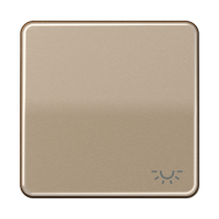 JUNG CD 500/CD plus Бронза Клавиша 1-ая с символом ОСВЕЩЕНИЕ