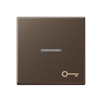 JUNG Клавиша для контрольного выключателя со знаком ключ мокка