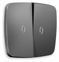 Лицевая панель OMEGA (Антрацит серый) для 2-клавишных выключателей с подсветкой QUANT OP6540