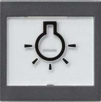 Gira Клавиша с полем для надписи 37*47 мм  и символом "свет"