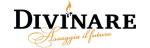 Divinare