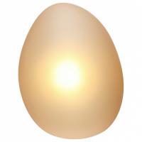 Настенный светильник (бра) MOD004WL-L5CE3K Maytoni Roca