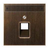 JUNG крышка для модульных разъемов, латунь Antik