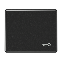 JUNG SL 500 Черная Клавиша 1-ая с символом КЛЮЧ