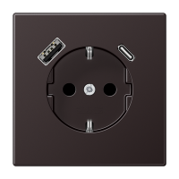 JUNG Розетка SCHUKO® с USB-зарядным устройством, тип A + тип С