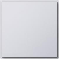 Gira Заглушка с опорной платой