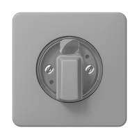 JUNG Накладка поворотного механизма серая