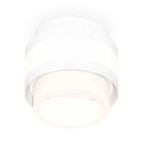 Комплект накладного светильника Ambrella light Techno Spot XS (C8418, N8401) XS8418001