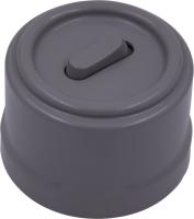 BIRONI Лизетта Пластик Титан Выключатель проходной 1-кл (клавишный)