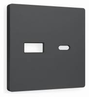 Лицевая панель ALFA (Графит Мягкое касание) для розетки 2USB тип A+C QUANT AP9110