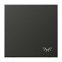 JUNG Клавиша с символом "свет" антрацит