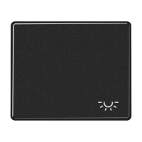 JUNG SL 500 Черная Клавиша 1-ая с символом ОСВЕЩЕНИЕ