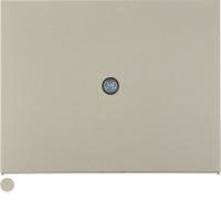 Berker K.5 Стальной, лак Центральная панель для VDo-розеток и кабельного вывода