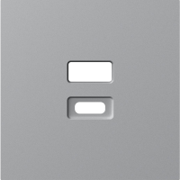 Donel Накладка для розеток USB, матовый серый, серия A07, DE28640